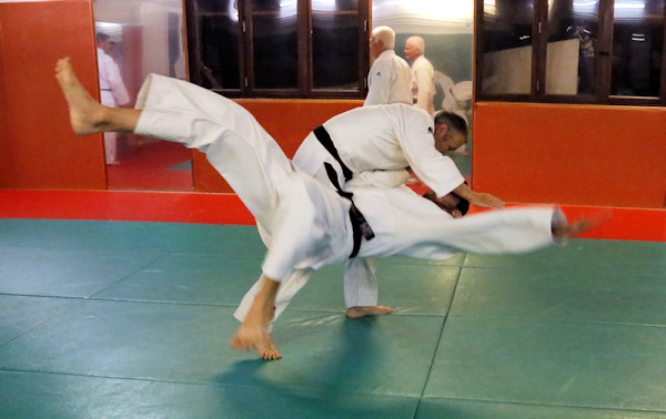dojo